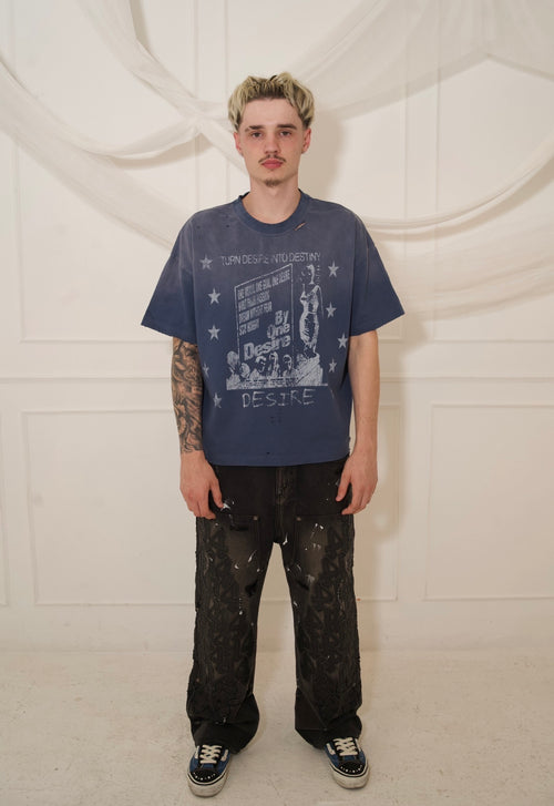 Destiny T-shirt Washed Blue